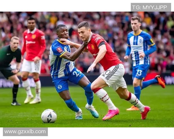 足总杯惊现冷门切尔西绝杀多特蒙德全场沸腾瞬间回顾